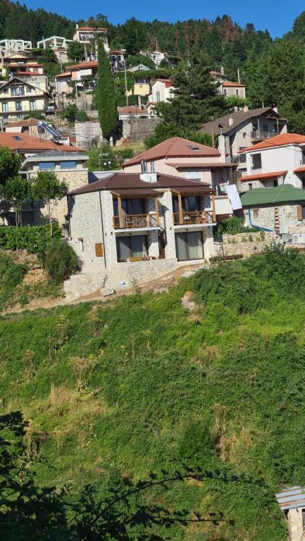 The house in the Cobbled road Suite - B&B Karpenísi