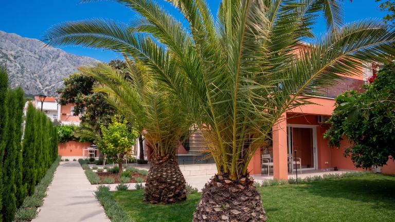 Casa Del Mare Luxury Seaside Apartments - B&B Sabbioncello