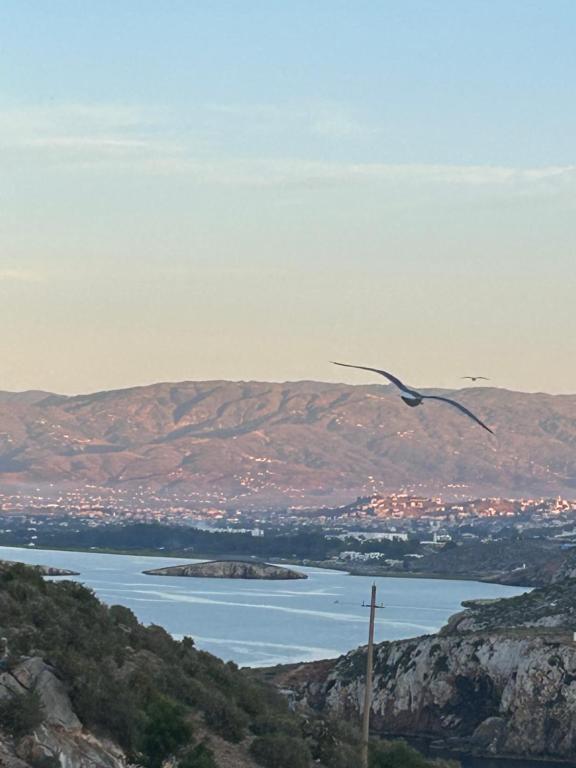 Hoceima F4 Climatisé - B&B Villa Alhucemas