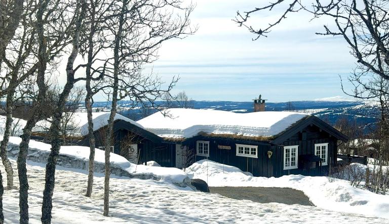 Welcoming Cabin With Fireplace Modern Kitchen - Ferienwohnung Beitostølen