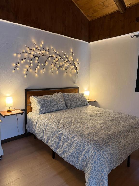 Casa di Nonna Iuccia Relax Vicino a Torino - B&B Collegno