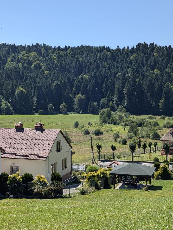 Dom z ogrodem w malowniczej okolicy Bieszczady - B&B Ropienka