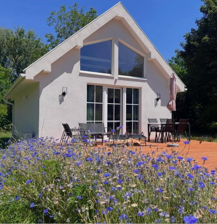 Káli Pillangó - Ház a völgyben - Bed and Breakfast Balatonhenye
