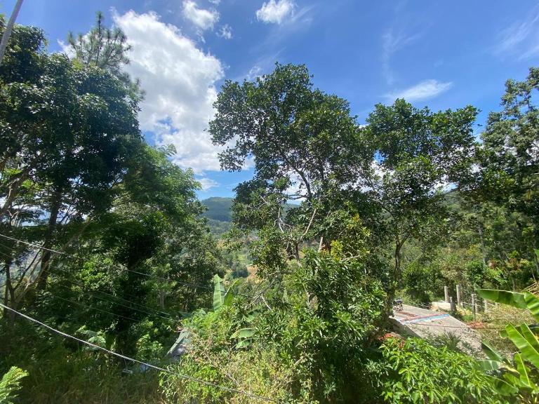 Bluebell Cottage - Ferienwohnung Ella Town