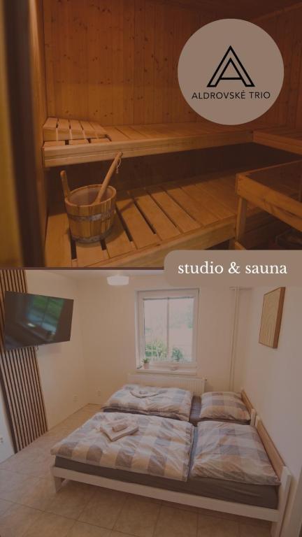 Studio v Aldrovském Triu - Bed and Breakfast Vítkovice