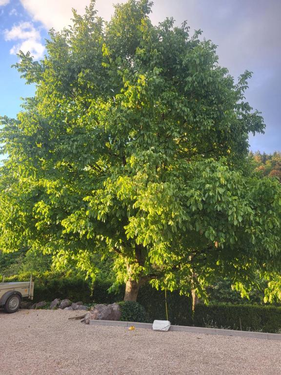 Goodstone Ferien - B&B Sigmaringen