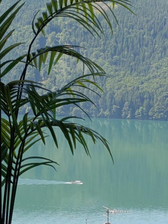 Modern house in the woods with a view of Millstättersee - Chambres d'hôtes Millstatt