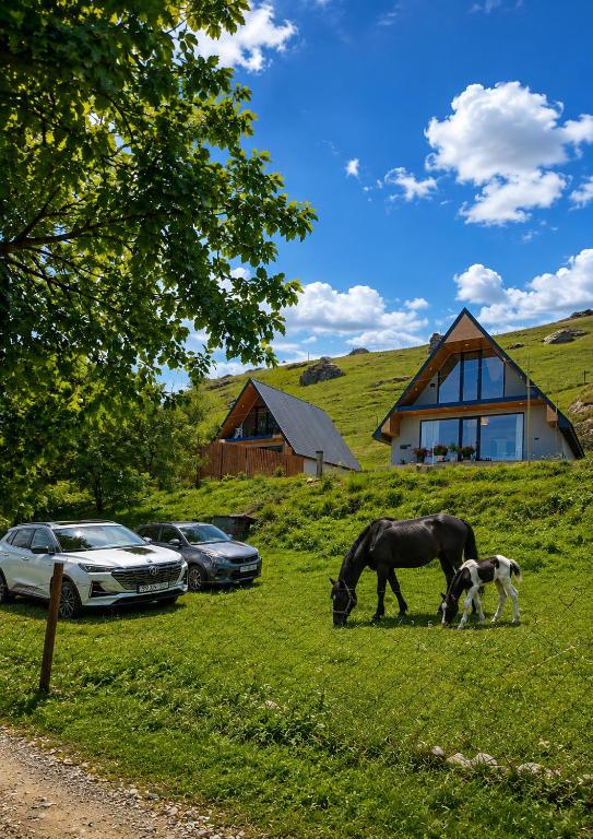 Shahdag A-Frame - B&B Qusar