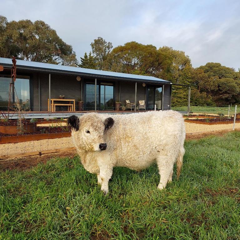 Mygunyah Farmstay - Chambres d'hôtes Kaniva