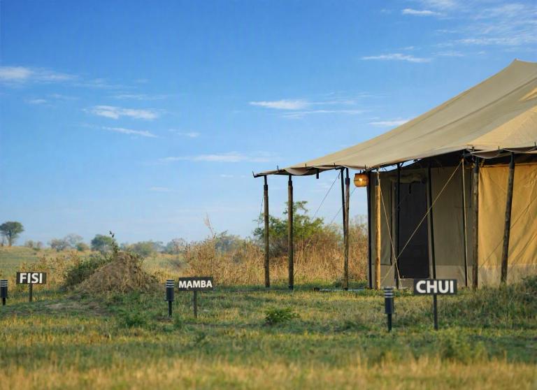 Adimu Mara Camp - B&B Mugumu