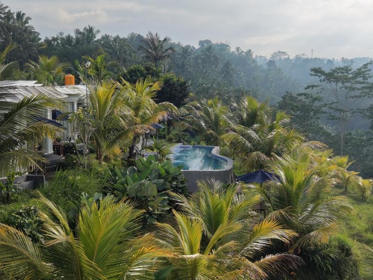 De Sila house and pool, with pool, rice terrace and clift view - Ferienwohnung Banjar Susut Kaja