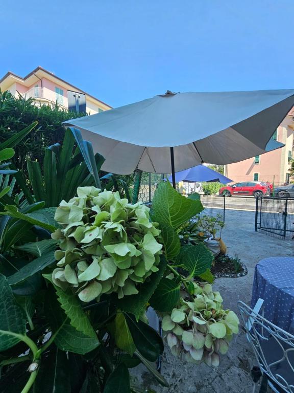 Bagnanti-sea loft - Chambres d'hôtes Sestri Levante