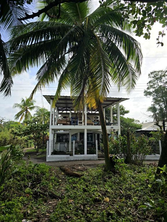Hotel Pura Natura Beachfront Tortuguero - B&B Tortuguero
