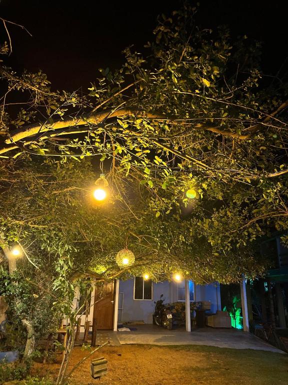 Pousada Zenaide em Regência-ES - Ferienwohnung Linhares