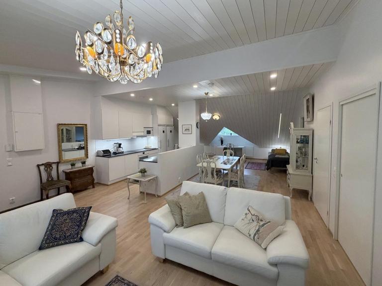Uniikki kattohuoneisto ydinkeskustassa, lämmin pysäköinti, max 6 hlöä - B&B Kuopio