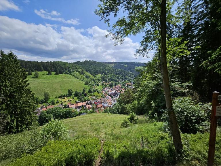 Ferienwohnung Waldstübchen - B&B Wildemann
