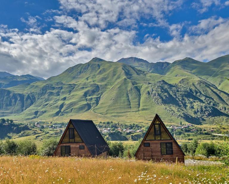 Gagma Chalets Kazbegi - Bed and Breakfast Stepantsminda