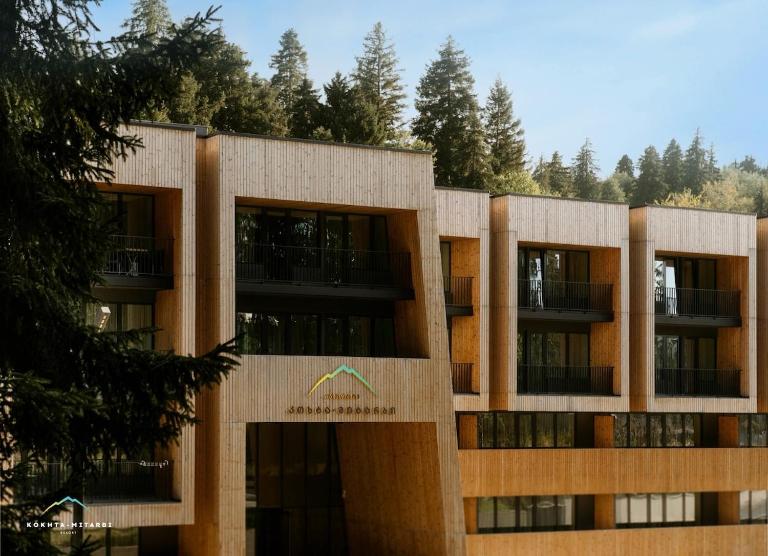 Mountain Escape - Kokhta-Mitarbi Apartment - B&B Bakuriani