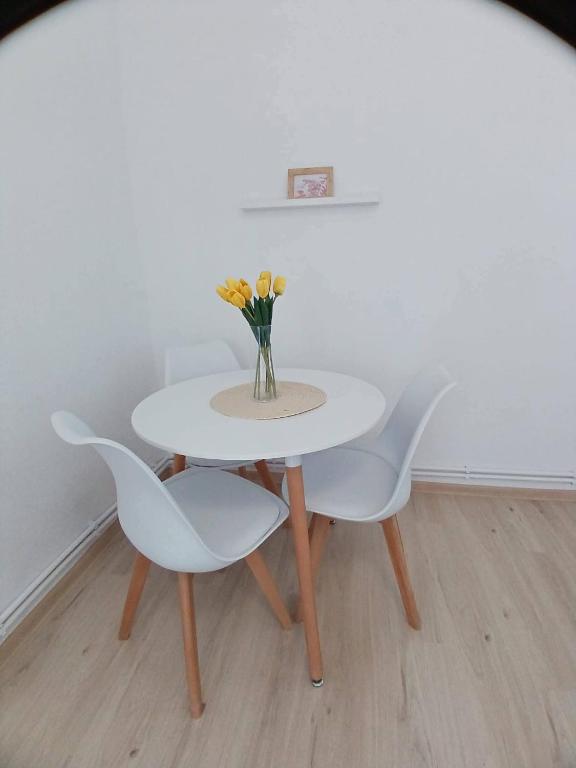 Apartament 1 camera , Garsoniera - B&B Chişineu-Criş
