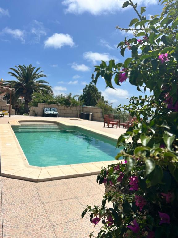 Casa Enos - Ocean view Apartments Tenerife South - Bed and Breakfast Granadilla de Abona