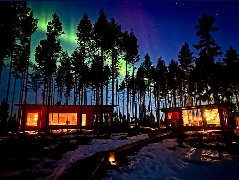 Wilderness Cabin Onnela - Bed and Breakfast Rovaniemi