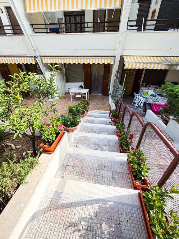 Casa vacanze Ibis - B&B Bisceglie