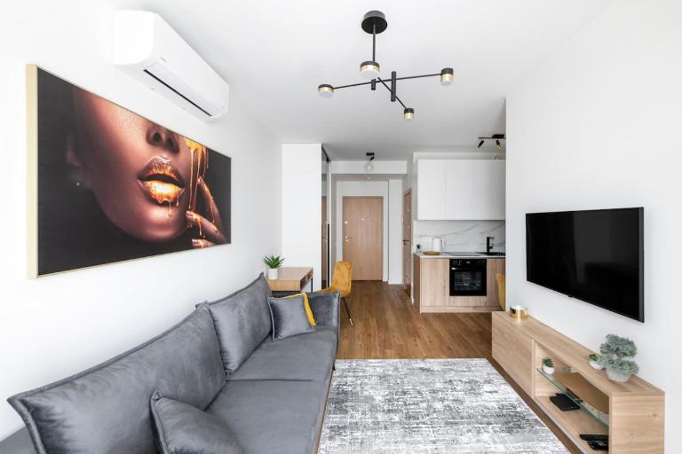 Vilneles Apartment in the city of Vilnius - B&B Vilna