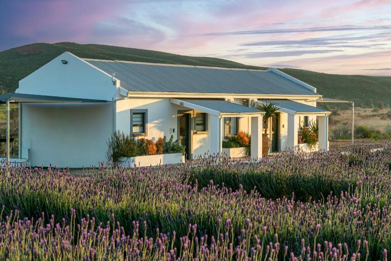 Karoo Lavender - B&B Oudtshoorn
