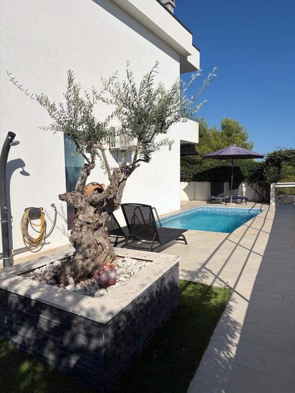 Villa Memory - B&B Medulin
