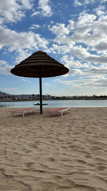 Ayla Gulf and azure families only - Chambres d'hôtes Aqaba