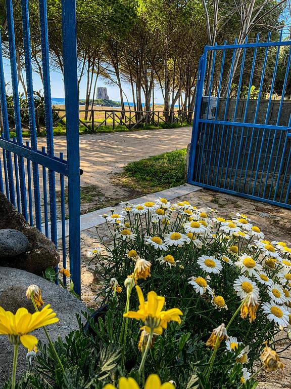 Appartamento fronte spiaggia ingresso su Viale della Pineta 5 - B&B Bari Sardo