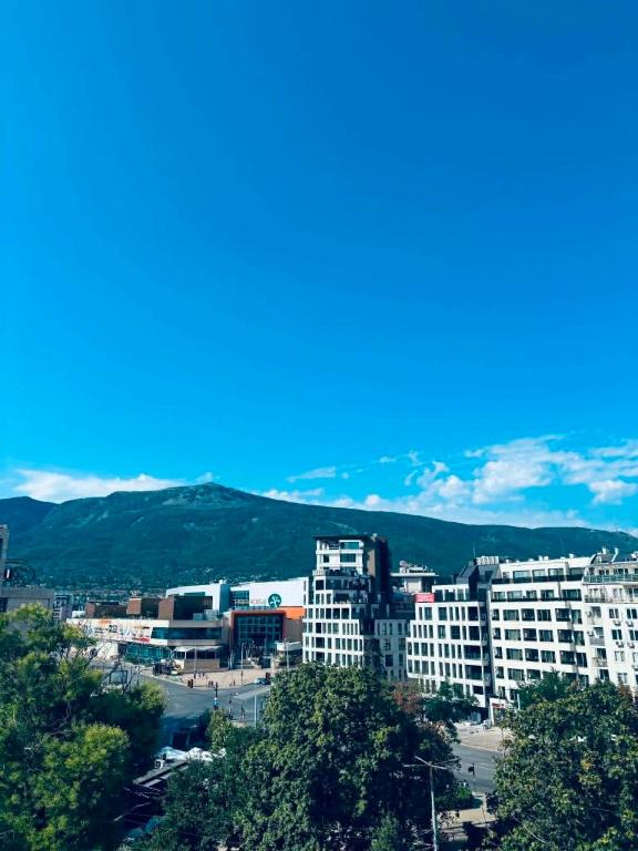 Spacious apartment with a Mountain view, big balcony and parking - B&B Sofia