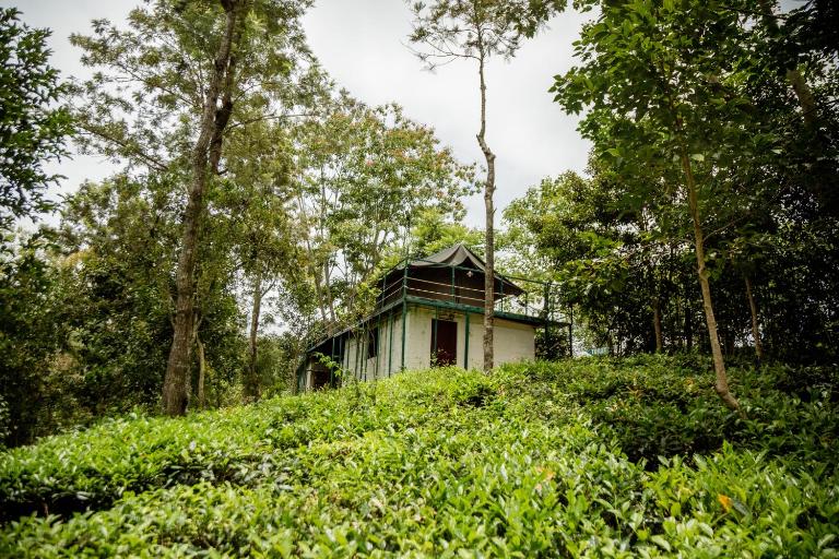 Organic Farmers Tent & Trekking By Eco Escape Hospitality - Chambres d'hôtes Kotagiri