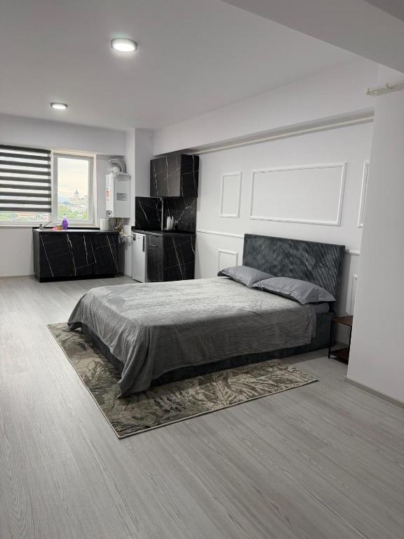 Apollo Studio 1 - B&B Bacău