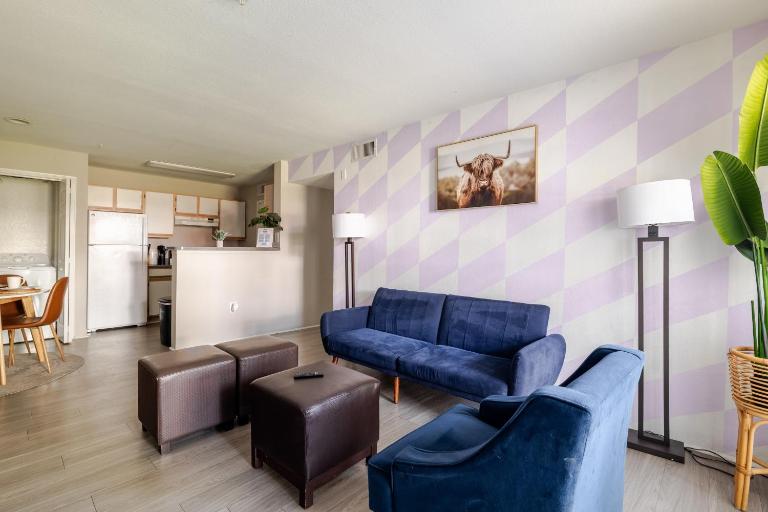 Cool 2Bed 1Bath 5 min walk to NRG and Medical Center - B&B Houston