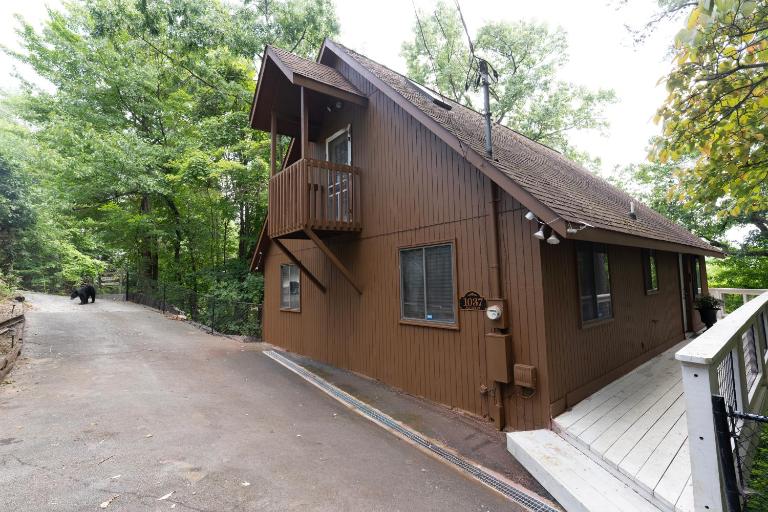 Bear Haven - B&B Gatlinburg