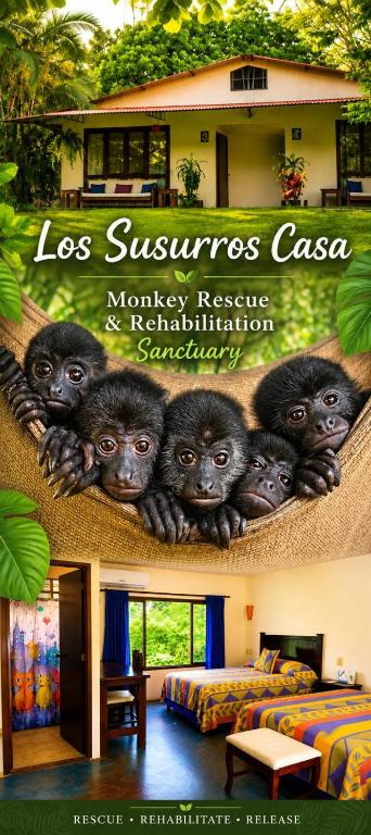 Los Susurros Casa Monkey Rescue and Rehabilitation Sanctuary - B&B Palenque/Temp