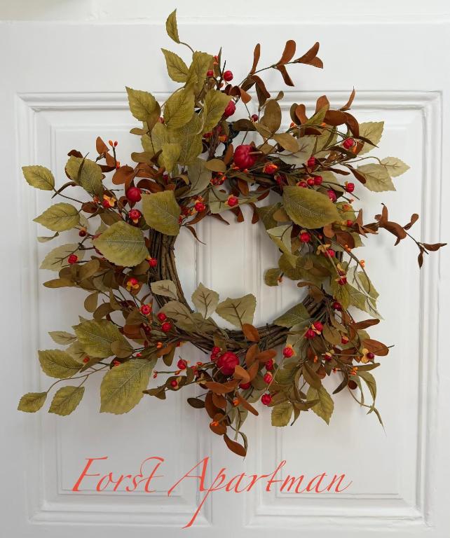 Forst Apartman - B&B Eger