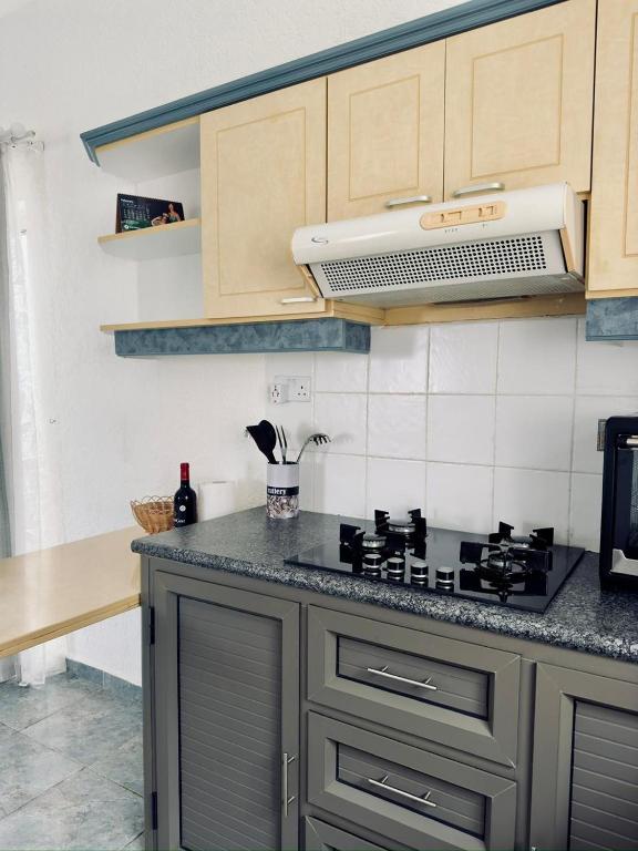 Blue Water Villa Apartments - Ferienwohnung Flic en Flac