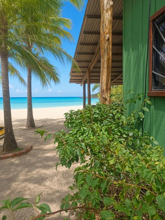 Beach-Front Bungalow - B&B El Gigante