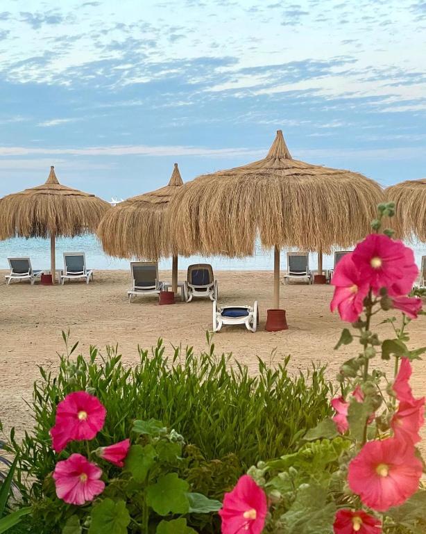 Luxury Studio, pool, Private beach & close to Airport - B&B Hurgada