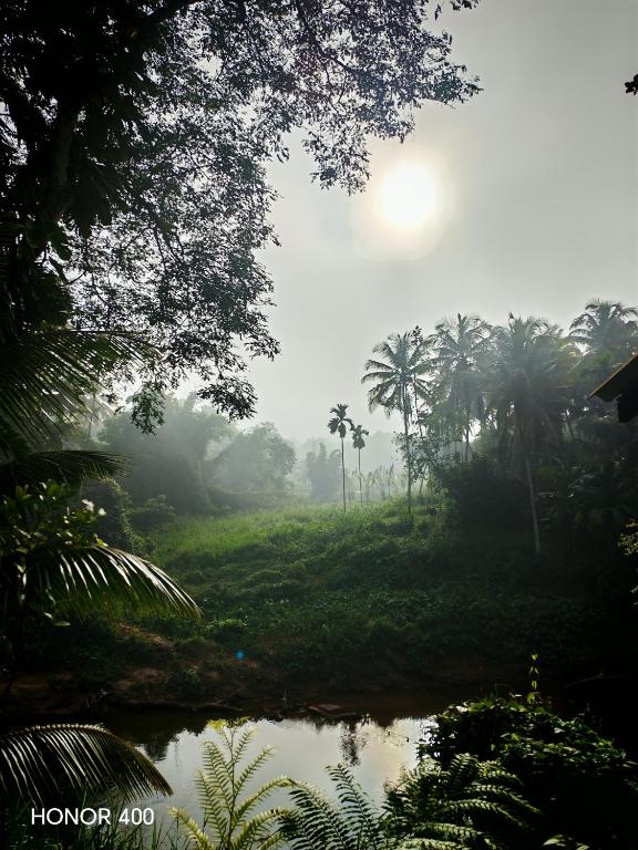 Rainforest River Bay - B&B Deniyaya