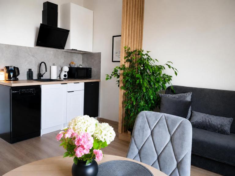 Apartament Zdrojowy Busko - Premium, nowy, osobna sypialnia, bezpłatny parking, ekspres - B&B Busko-Zdrój