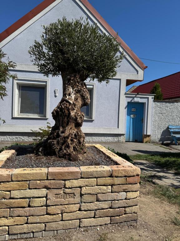 Alla - B&B Kittsee