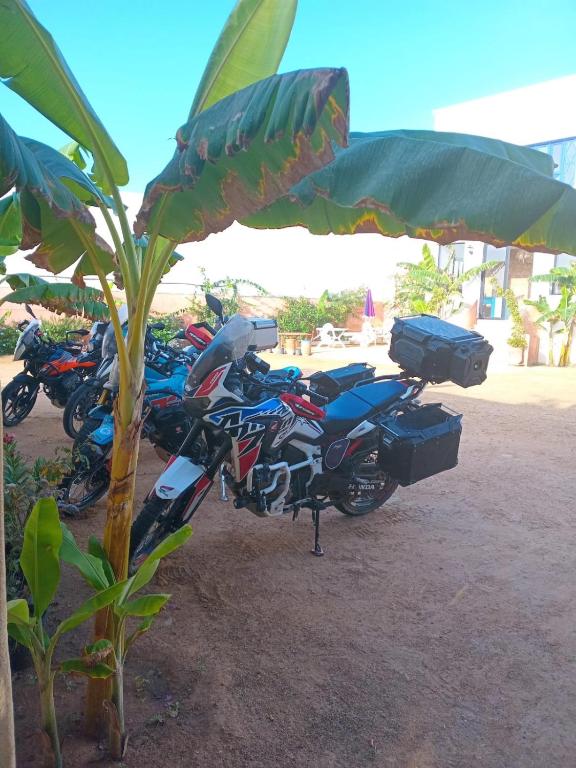 APPARTEMENT surf camp pour les familles - Ferienwohnung Oualidia