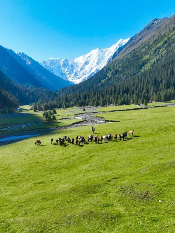 Эля - B&B Semënovka