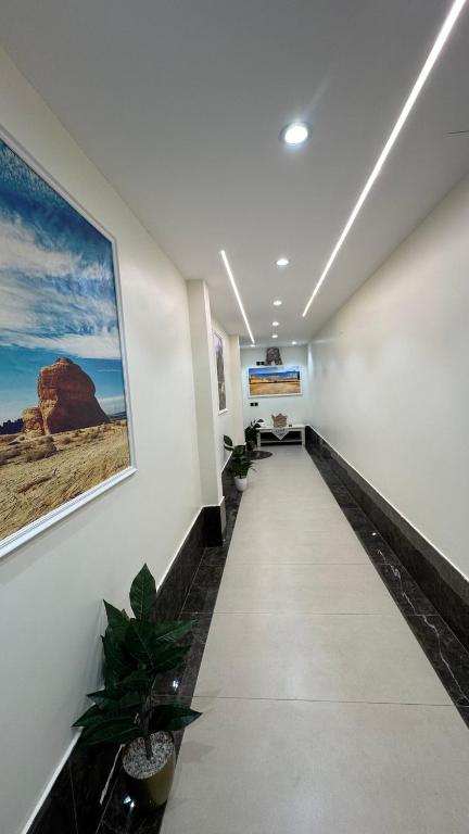 Starlight AlUla - B&B Al-`Ula