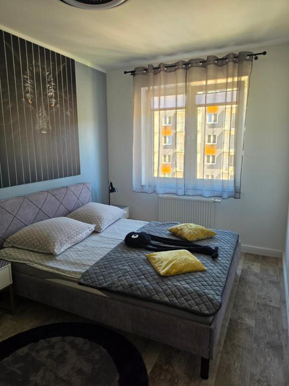 Apartament Ustrzyki Dolne "Dark-Wolf" - B&B Ustrzyki Dolne