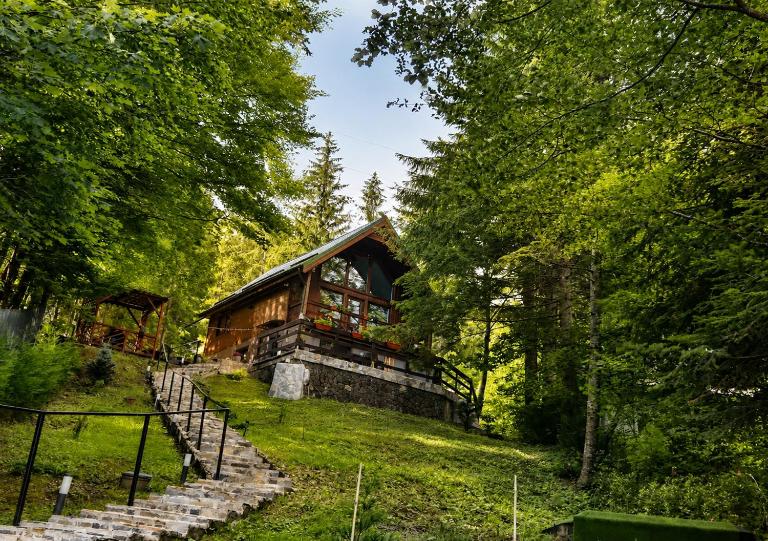 Wild House - Ferienwohnung Sinaia