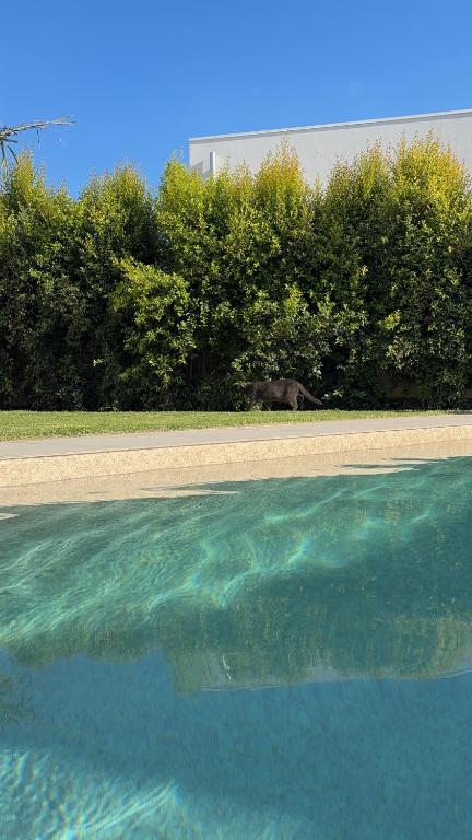 Casa Neroli - B&B Marina di Ragusa